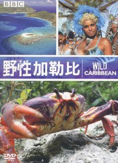 野性加勒比 01-02 Wild Caribbean 2007/11/14 英語發音 繁體中文/英文字幕 Discovery系列完整版版(2DVD)